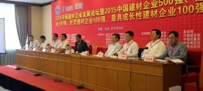 热烈祝贺湖北雨晴荣获“2015中国建材企业500强”