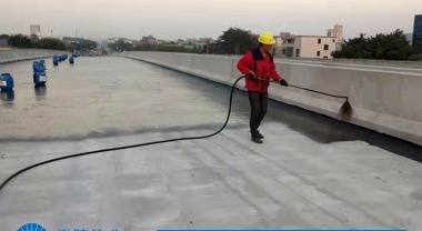 贵州紫望高速总承包第1合同段桥隧砼路面防水工程