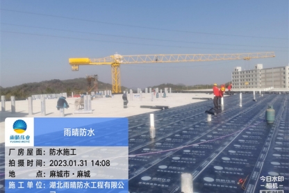 麻城市养殖项目五区母猪舍防水工程